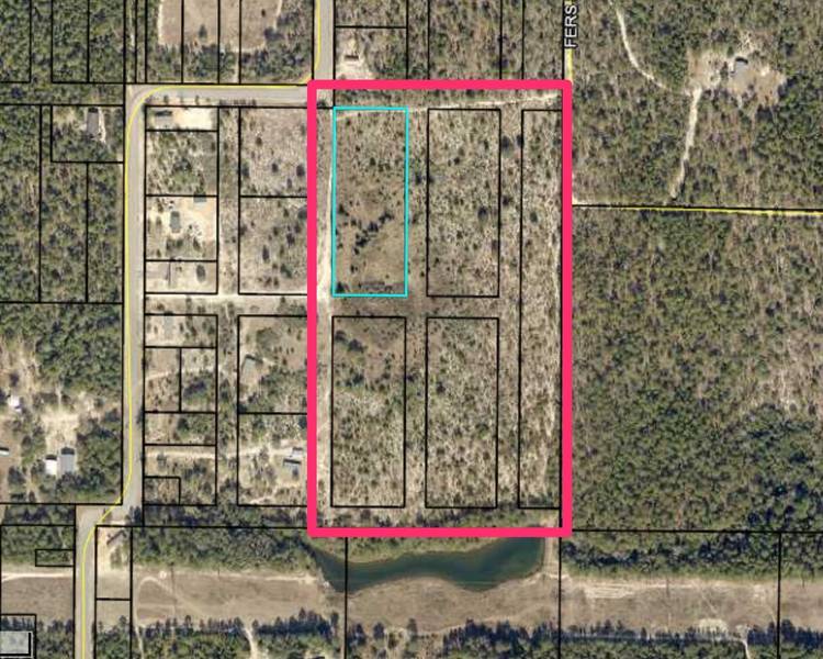 15.12 Acre Kervin, Mossy Head, FL 32434