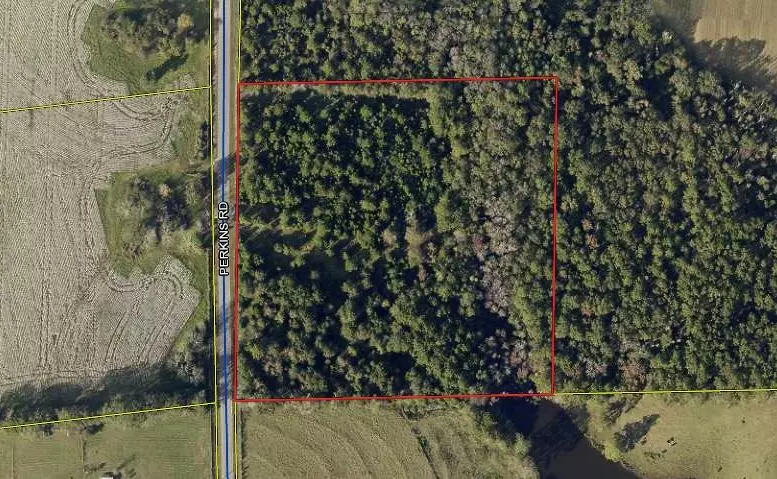 XX Perkins Road, Laurel Hill, FL 32567