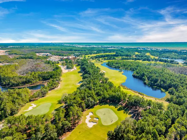 Inlet Beach, FL 32461,Lot 197 Sundew Place