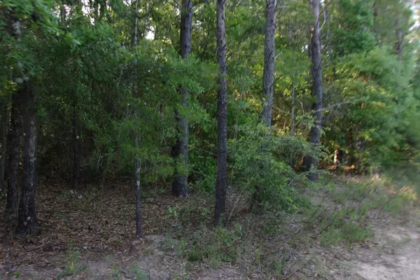 Crestview, FL 32539,XX E Bunting Way