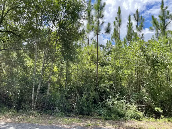 Crestview, FL 32539,Lot XX Pinewoods Drive