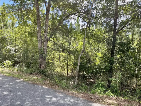 Crestview, FL 32539,Lot XX Pinewoods Drive