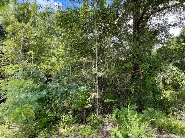 Lot X Cox Lane, Crestview, FL 32539