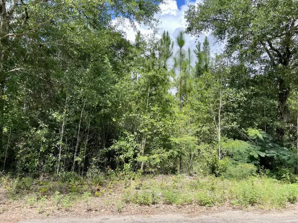 Crestview, FL 32539,Lot X Cox Lane