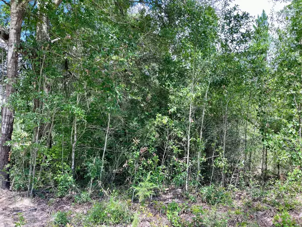 Crestview, FL 32539,Lot X Cox Lane