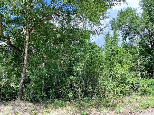 Crestview, FL 32539,Lot X Cox Lane