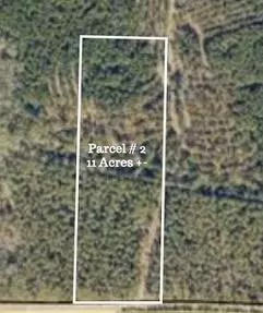 Laurel Hill, FL 32567,Lot 2 W Plympton Road