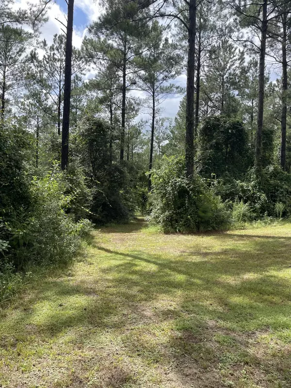 Milton, FL 32570,12185 Charlie Foster Road