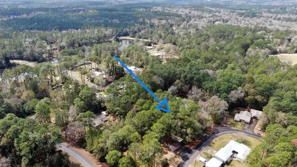 Defuniak Springs, FL 32435,.66 Lot Teelinville Drive