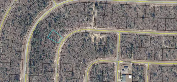 Chipley, FL 32428,XXX Lot 45 Dandelion Drive