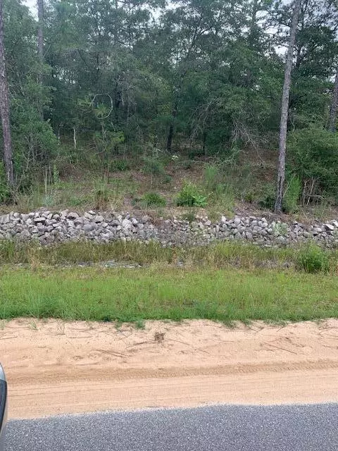 Defuniak Springs, FL 32433,Lot 3 Blue Ridge Boulevard