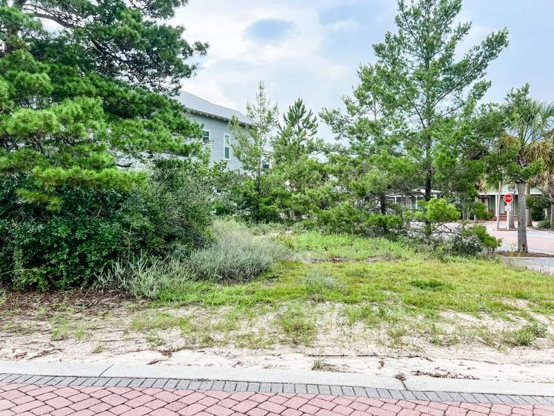 Lot 16 Endless Summer Way E, Inlet Beach, FL 32461