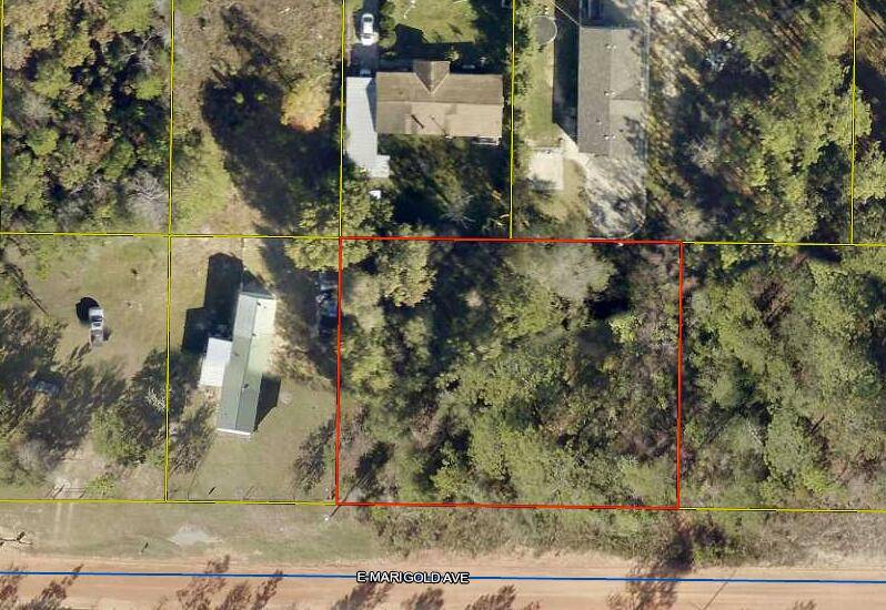 TBD Marigold Avenue  #Lots 30 & 31, Defuniak Springs, FL 32433