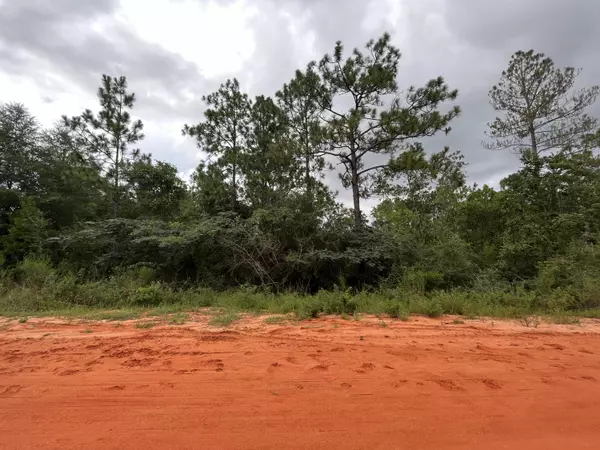 Defuniak Springs, FL 32433,TBD Marigold Avenue  #Lots 30 & 31