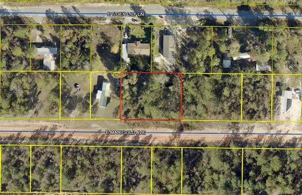 Defuniak Springs, FL 32433,TBD Marigold Avenue  #Lots 30 & 31