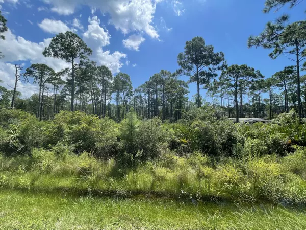 Port St. Joe, FL 32456,Lot 12 CR 30-A