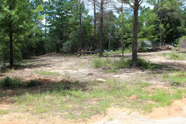 Defuniak Springs, FL 32433,XXX W Clover Lane