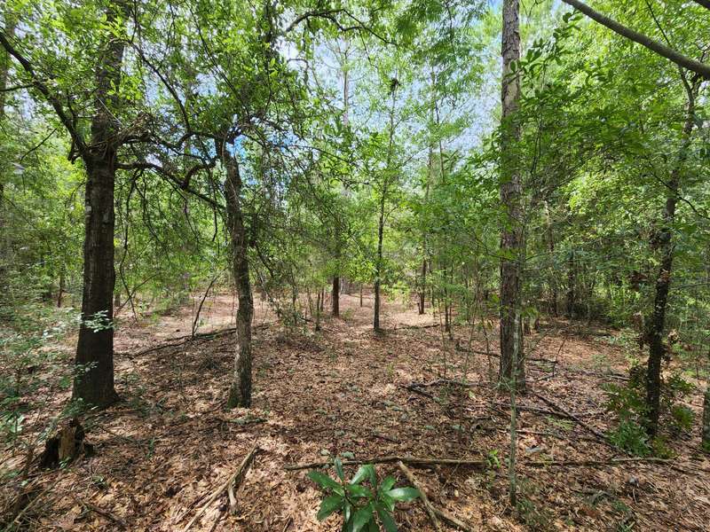 .24 ac xxx E Tulip Avenue, Defuniak Springs, FL 32433