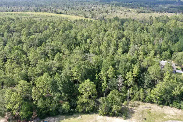 Crestview, FL 32539,5 AC Possum Ridge Road