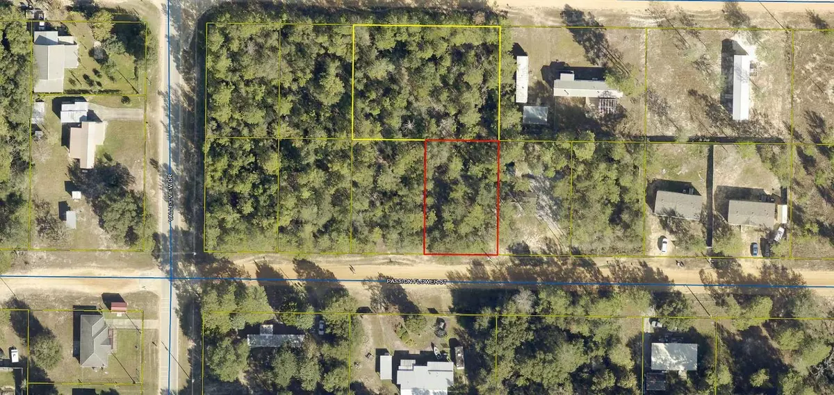 Defuniak Springs, FL 32433,35 Passion Flower Street