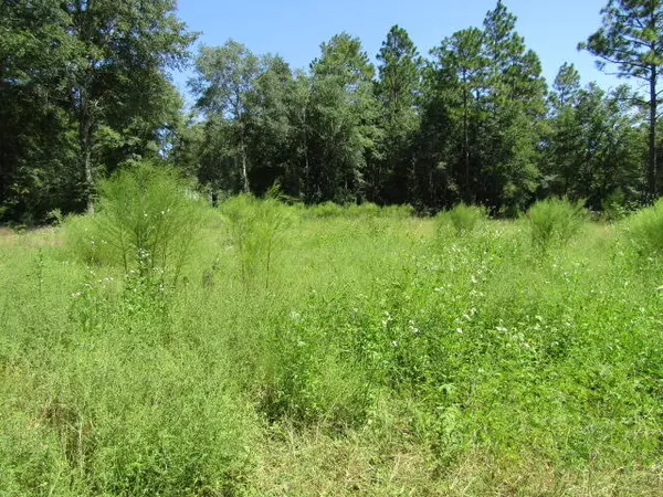 Crestview, FL 32539,0000 Sand Hill Road