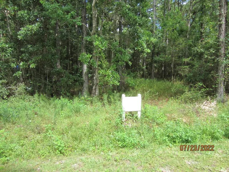 Lot 17 18th Street, Santa Rosa Beach, FL 32459