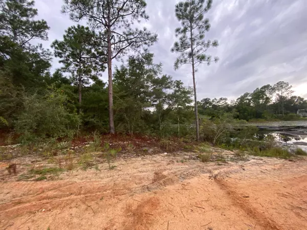 Defuniak Springs, FL 32433,0 W Renoir Road