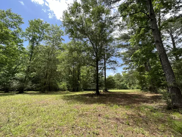 Defuniak Springs, FL 32435,TBD E Indian Creek Ranch Road