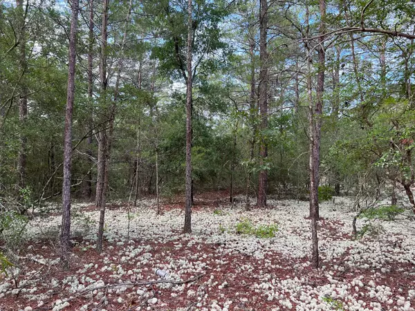 Defuniak Springs, FL 32433,1.4 Ac Watson Road