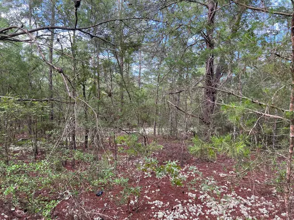 Defuniak Springs, FL 32433,1.4 Ac Watson Road