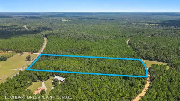 Baker, FL 32531,12 AC James Peaden Road