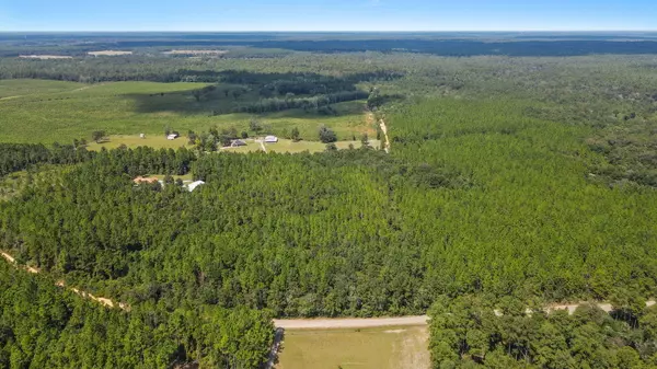 Baker, FL 32531,12 AC James Peaden Road