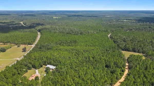 Baker, FL 32531,12 AC James Peaden Road