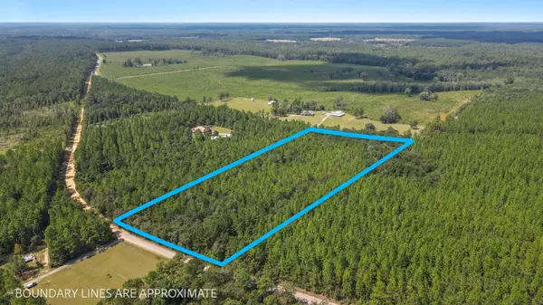 Baker, FL 32531,12 AC James Peaden Road