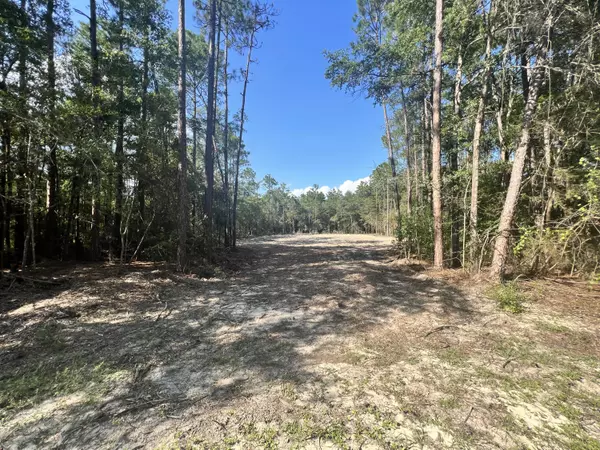 Lot 12 Via Internacional, Defuniak Springs, FL 32435