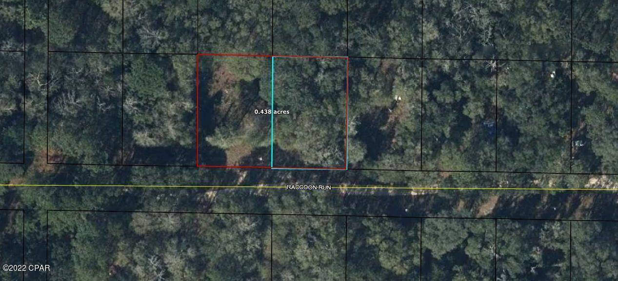 2290 Racoon Run Road, Bonifay, FL 32425