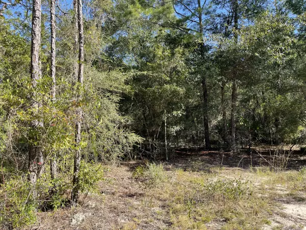 Defuniak Springs, FL 32433,Lots XXXX E Elder Box Drive