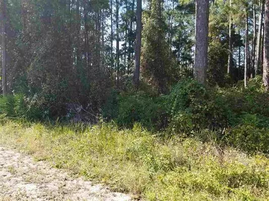 Lot 23 Jessica Court, Freeport, FL 32439