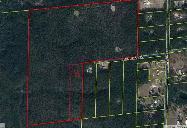 Crestview, FL 32539,10+/- AC Badger Drive  #Parcel H