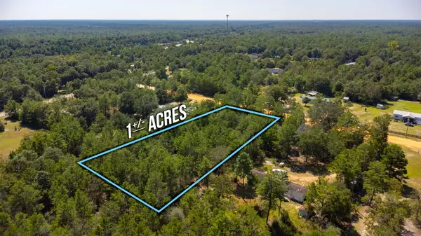 Defuniak Springs, FL 32433,TBD Hamlet Drive