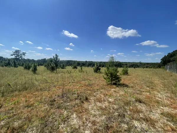 1342 Boy Scout Road, Defuniak Springs, FL 32435