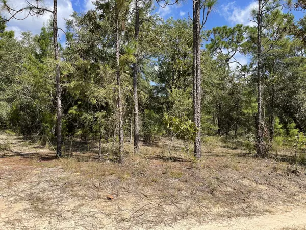 Lot 12 E Big Cypress Drive  #Oakwood Hills II BLK 39, Defuniak Springs, FL 32433