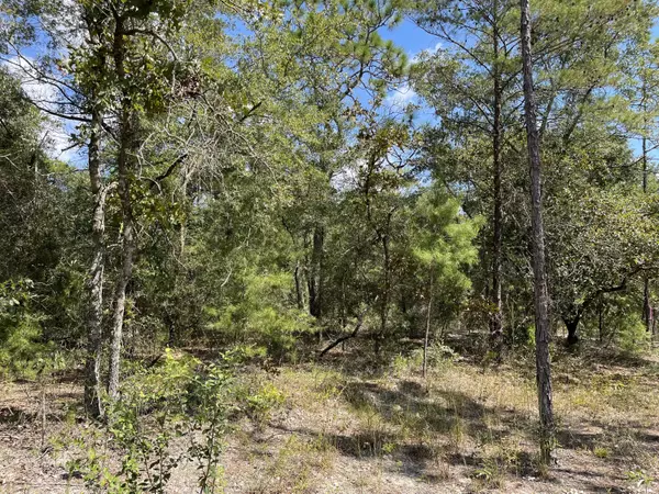 Lot 13 E Big Cypress Drive  #Oakwood Hills II BLK 39, Defuniak Springs, FL 32433