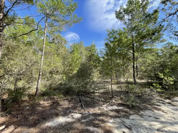 Lot 33 E Black Cherry Drive  #Oakwood Hills II BLK 30, Defuniak Springs, FL 32433