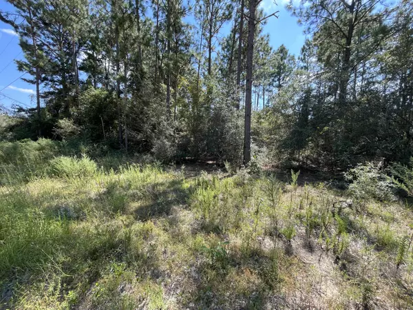 Defuniak Springs, FL 32433,Lot 6 W Poinsetta Avenue