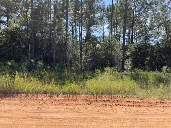 Defuniak Springs, FL 32433,Lot 6 W Poinsetta Avenue