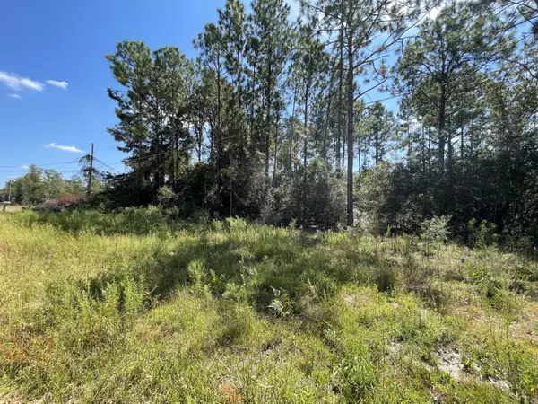 Defuniak Springs, FL 32433,Lot 6 W Poinsetta Avenue