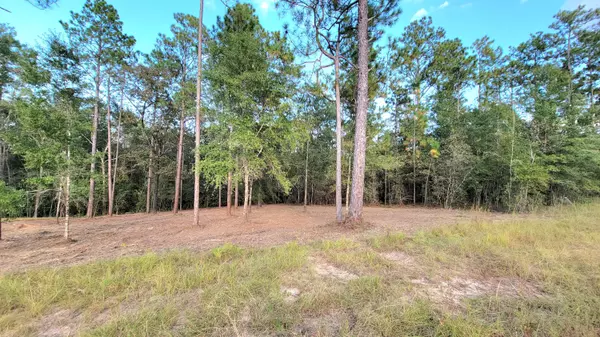 Laurel Hill, FL 32567,6737 Sarah Ann Way