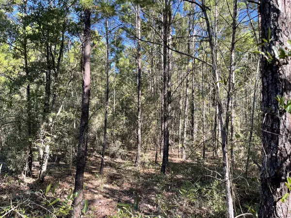 TBD E Lafavre Lane, Defuniak Springs, FL 32433