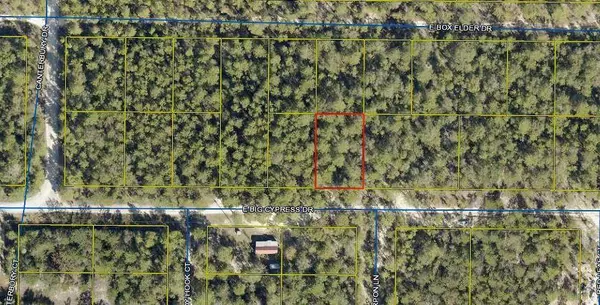 Defuniak Springs, FL 32433,Lot 14 Big Cypress Dr. E